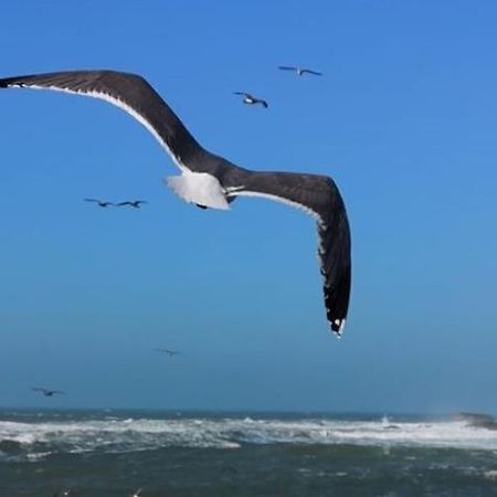 Villa L'Oiseau Bleu Suvayr Dış mekan fotoğraf